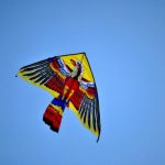 Cerf volant le jour de Kathari Devtera
