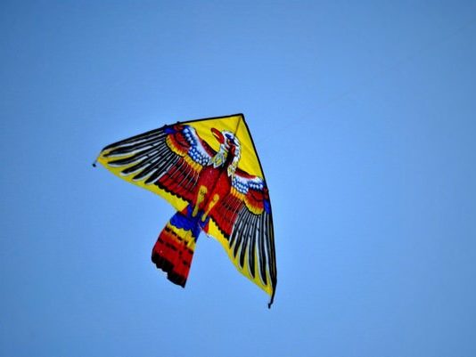 Cerf volant le jour de Kathari Devtera