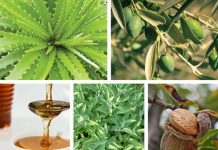 Cosmétiques Naturels Grecs