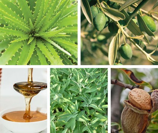 Cosmétiques Naturels Grecs