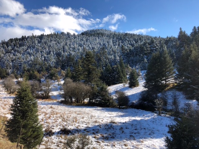 L'Arcadie sous la neige